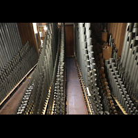 Neuss, Münster St. Quirin(us), Pfeifen von Hauptwerk, Schwellwerk und Positiv im südlichen Orgelraum