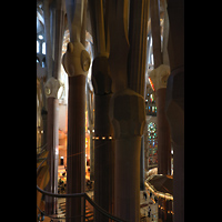 Barcelona, La Sagrada Familia, Blick vom Triforium auf die sich baumkronenförmig aufspaltenden Säulen