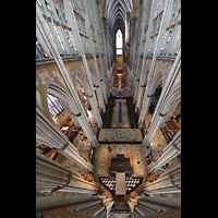 Köln (Cologne), Dom St. Peter und Maria, Blick vom Triforium im Chor in den gesamten Dom