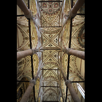 Verona, S. Anastasia, Deckengewölbe und Malerei