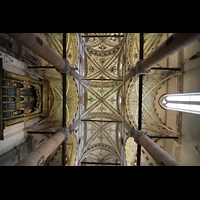 Verona, S. Anastasia, Blick zur Orgel und Decke