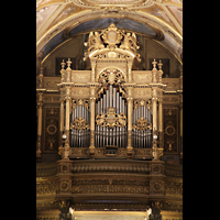 Pompei, Santuario della Beata Vergine (Madonna del Rosario), Orgel