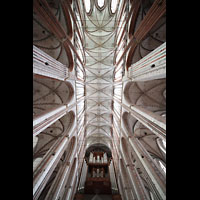 Lübeck, St. Marien, Innenraum mit Orgel; Blick zur Decke