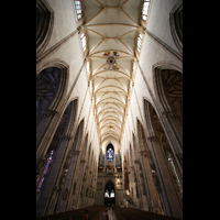 Ulm, Münster, Hauptschiff mit Gewölbe und Orgel