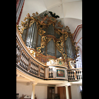 Brandenburg, St. Katharinen, Orgelempore
