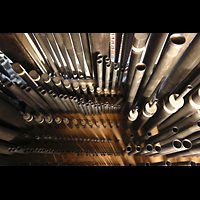 Pfeifen im Hauptwerk, Prinzipale teilweise bis zu 5-fach besetzt Amsterdam, Nieuwe Kerk, Pfeifen im Hauptwerk, Prinzipale teilweise bis zu 5-fach besetzt