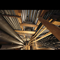Leiden, Pieterskerk, Blick vom Oberwerk nach unten