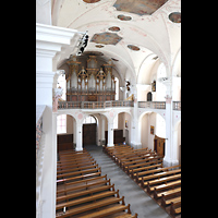Lachen, Pfarrkirche Heilig Kreuz, Blick von der Seitenempore zur Orgel