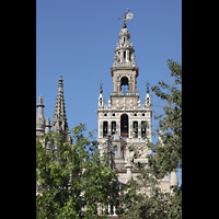 Sevilla, Catedral, Giralda von den Grten der Alcazar aus gesehen