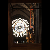 Strasbourg (Straßburg), Cathédrale Notre-Dame, Blick von der Krypta zur Silbermann-Orgel und großen Rosette